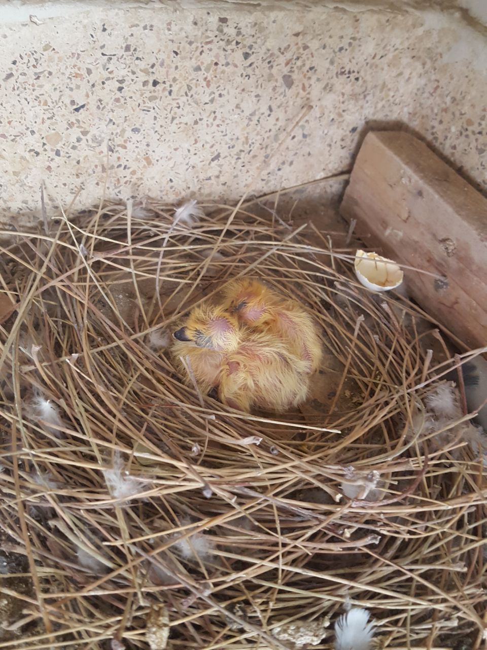 WhatsApp Image 2017-12-25 at 6.56.37 PM.jpeg