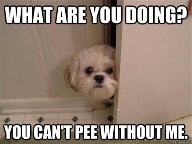 you-cant-pee-without-me.jpg