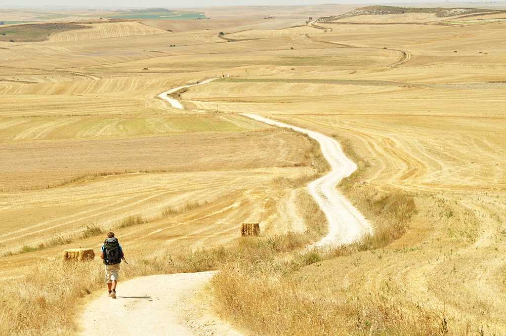 《飞鸟与夏花》每天一首自译飞鸟集（175/325） - Translate a poem form Stray Birds everyday
