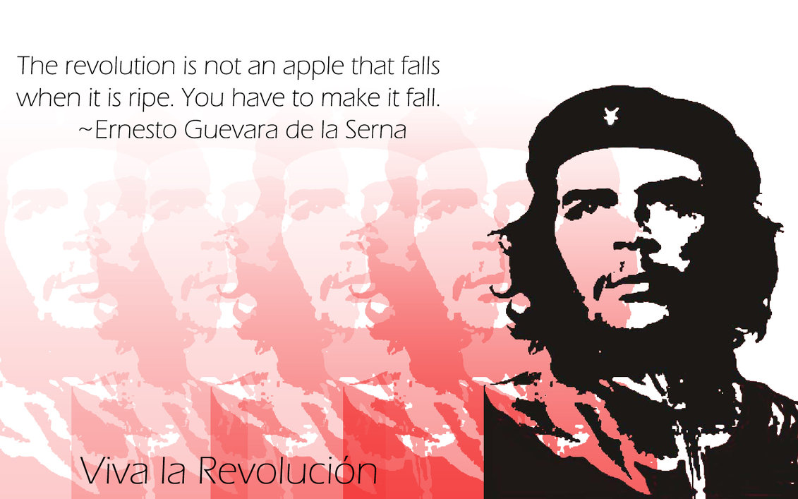 viva_la_revolucion_by_pauliwallnuts.jpg