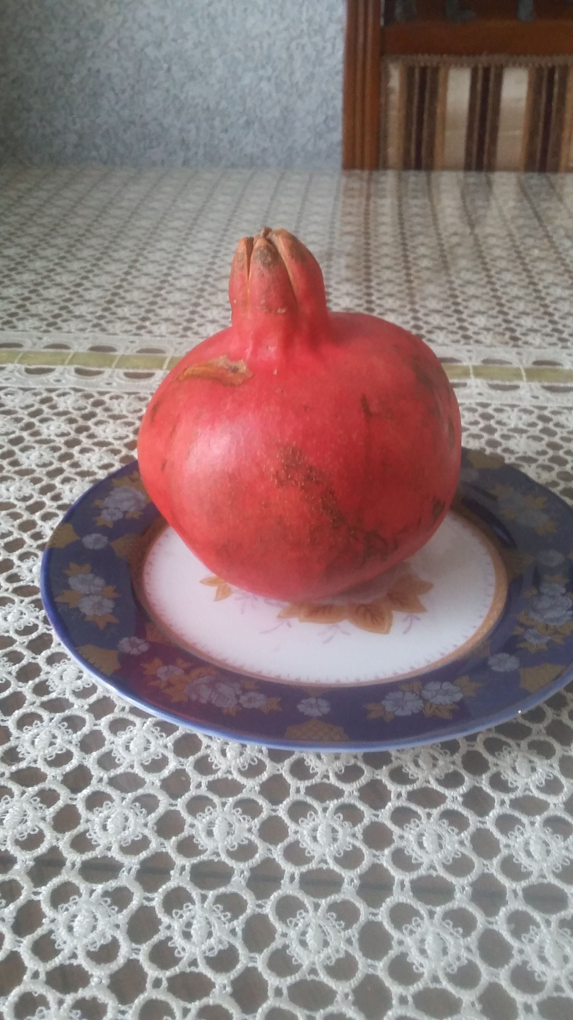 20171008_114304.jpg