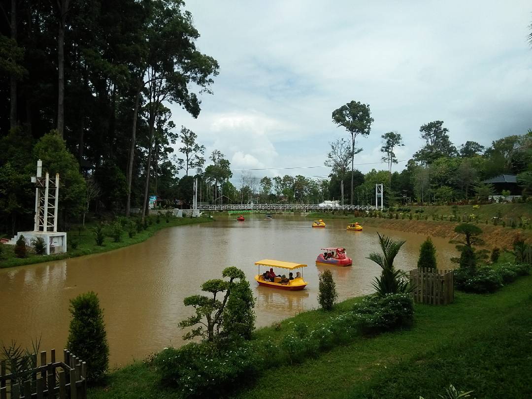 hutan mangrove.jpg