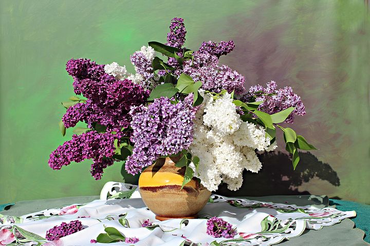 lilac-bouquet-2762065__480.jpg