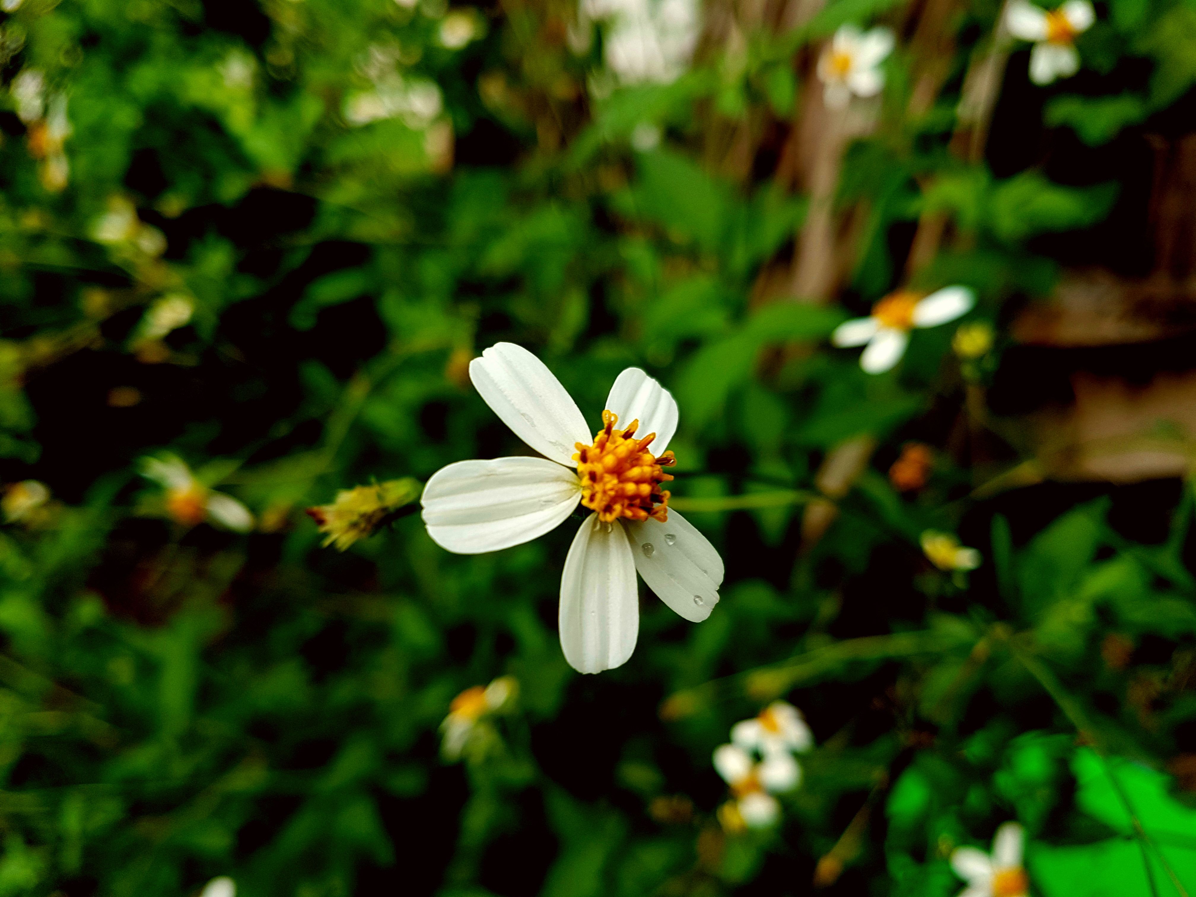 20180407_084617.jpg