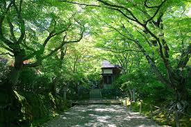 Arashiyama KYOTO.jpg