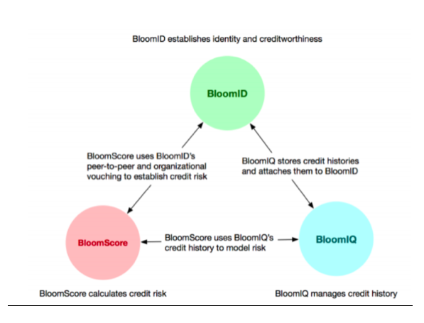 BloomID-BloomScore-BloomIQ.png