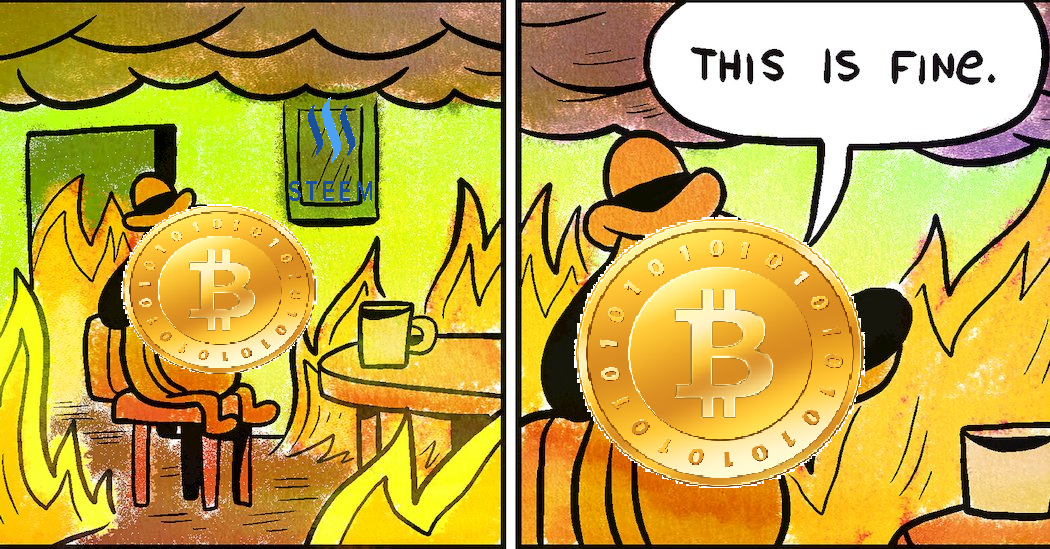 bitcoin holders.png