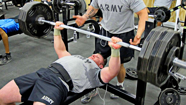 3 Reasons Why You Are Not Putting On Muscle Steemit