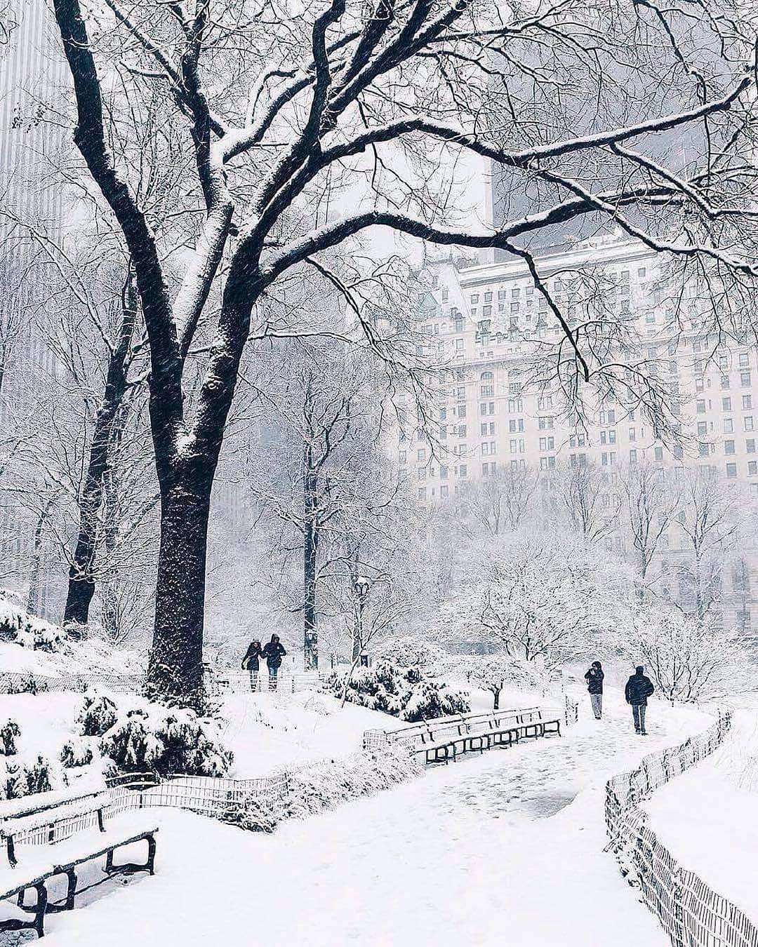 Central Park - Nowy Jork - USA.jpg