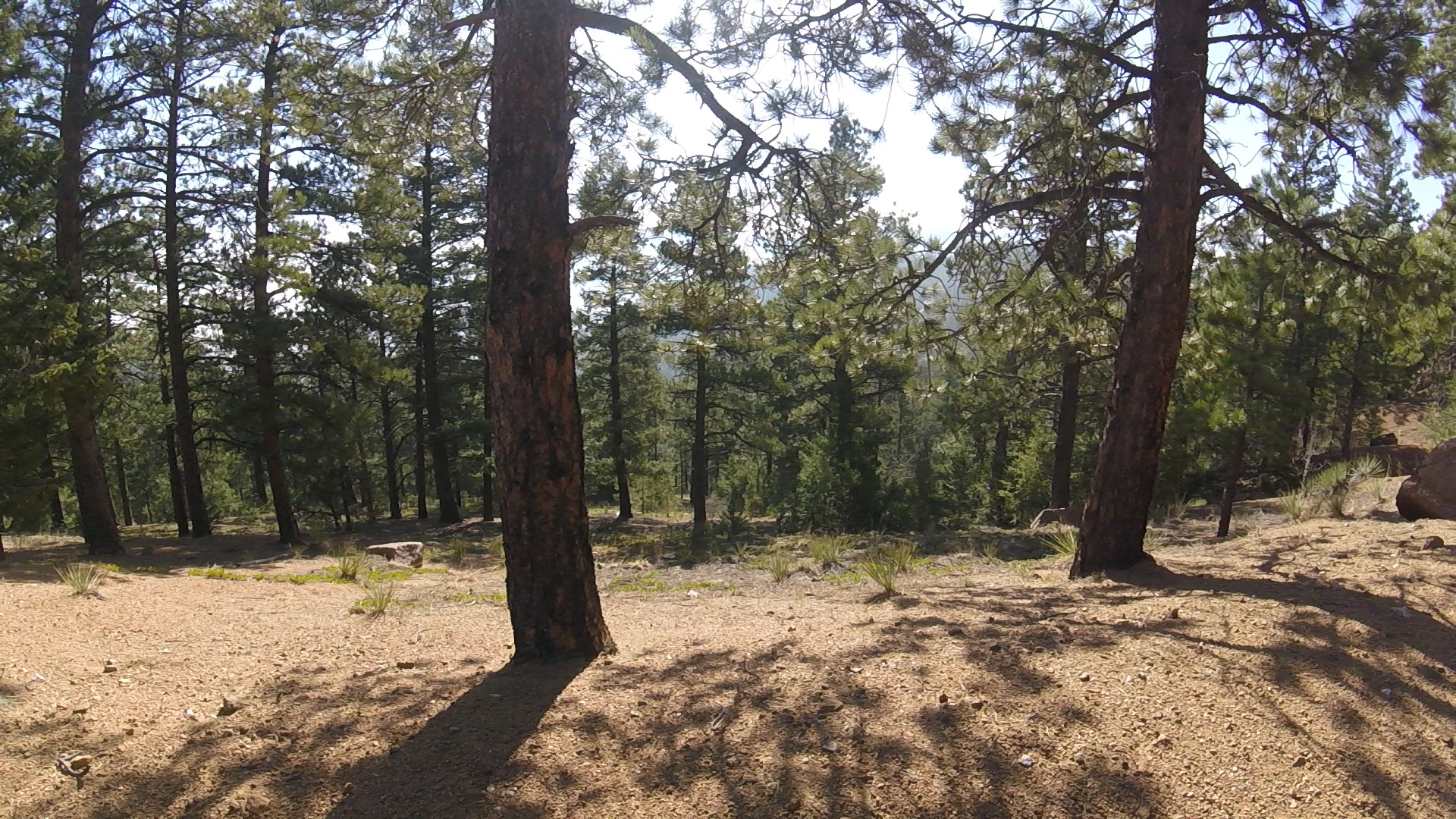 GoldCampRoadMarch2018 (61)_Moment.jpg