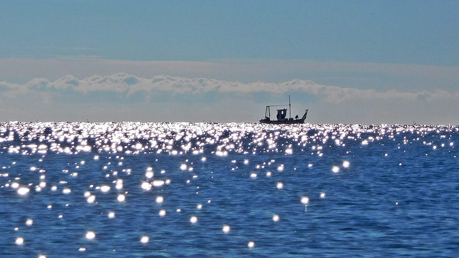 Mar de estrellas.jpg