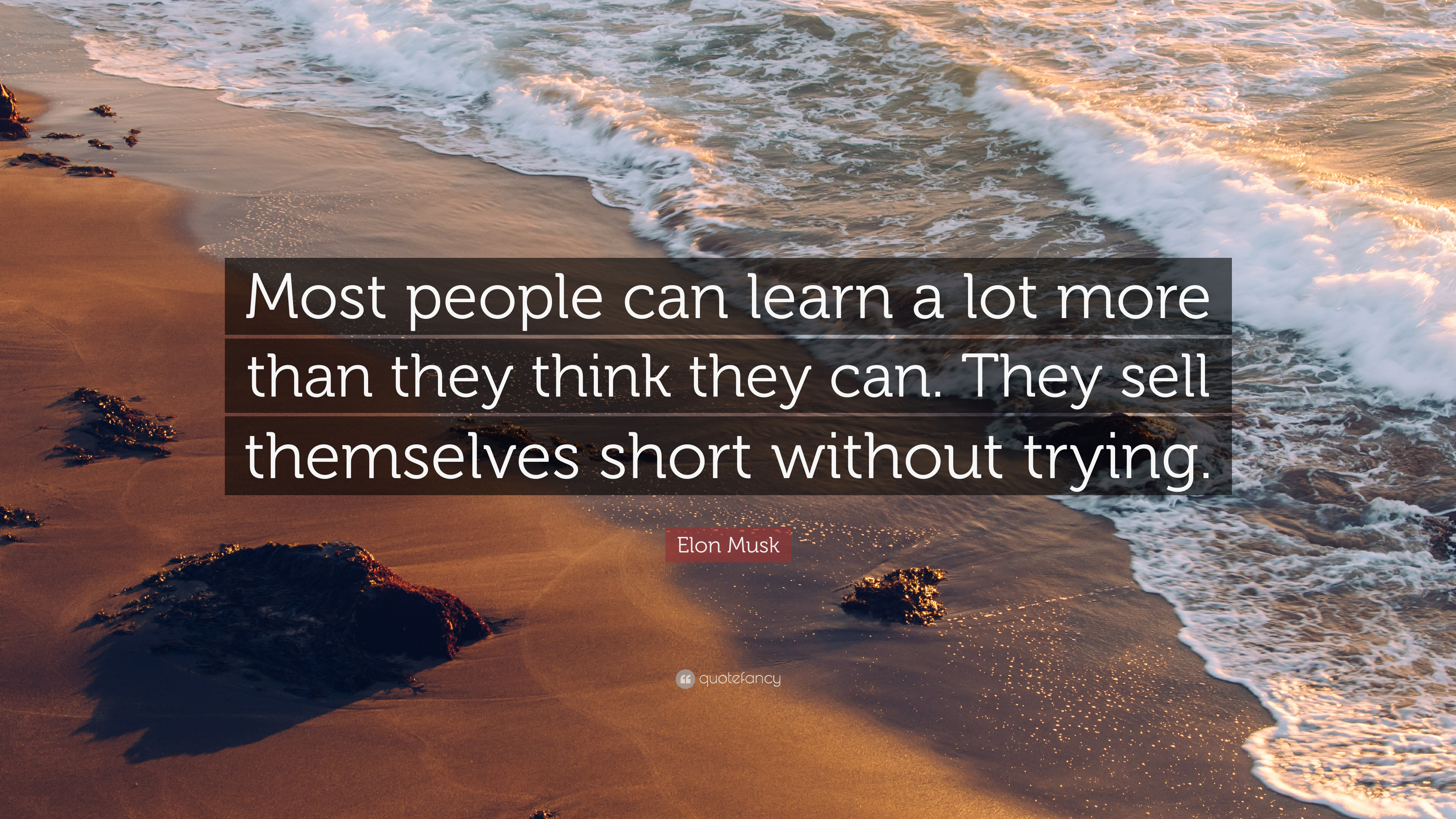 Quotefancy-2038935-3840x2160.jpg