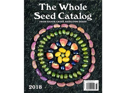 WHOLE-SEED-COVER.jpg