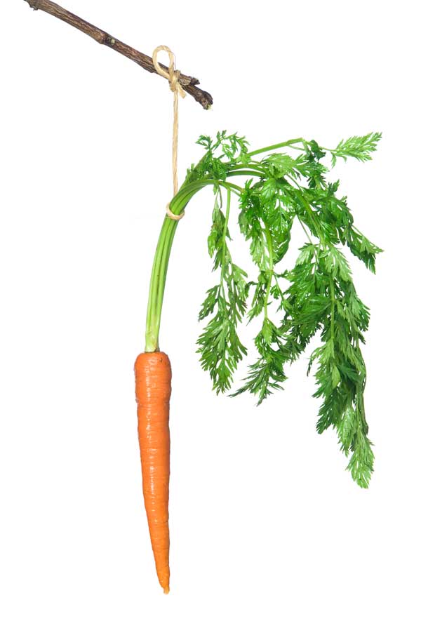 carrot on a stick.jpg