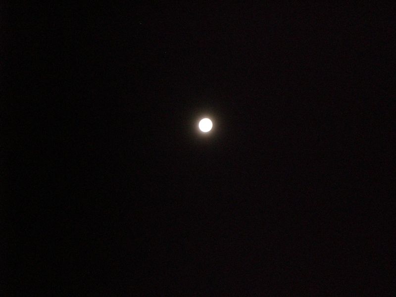 luna y paisaje 004.jpg