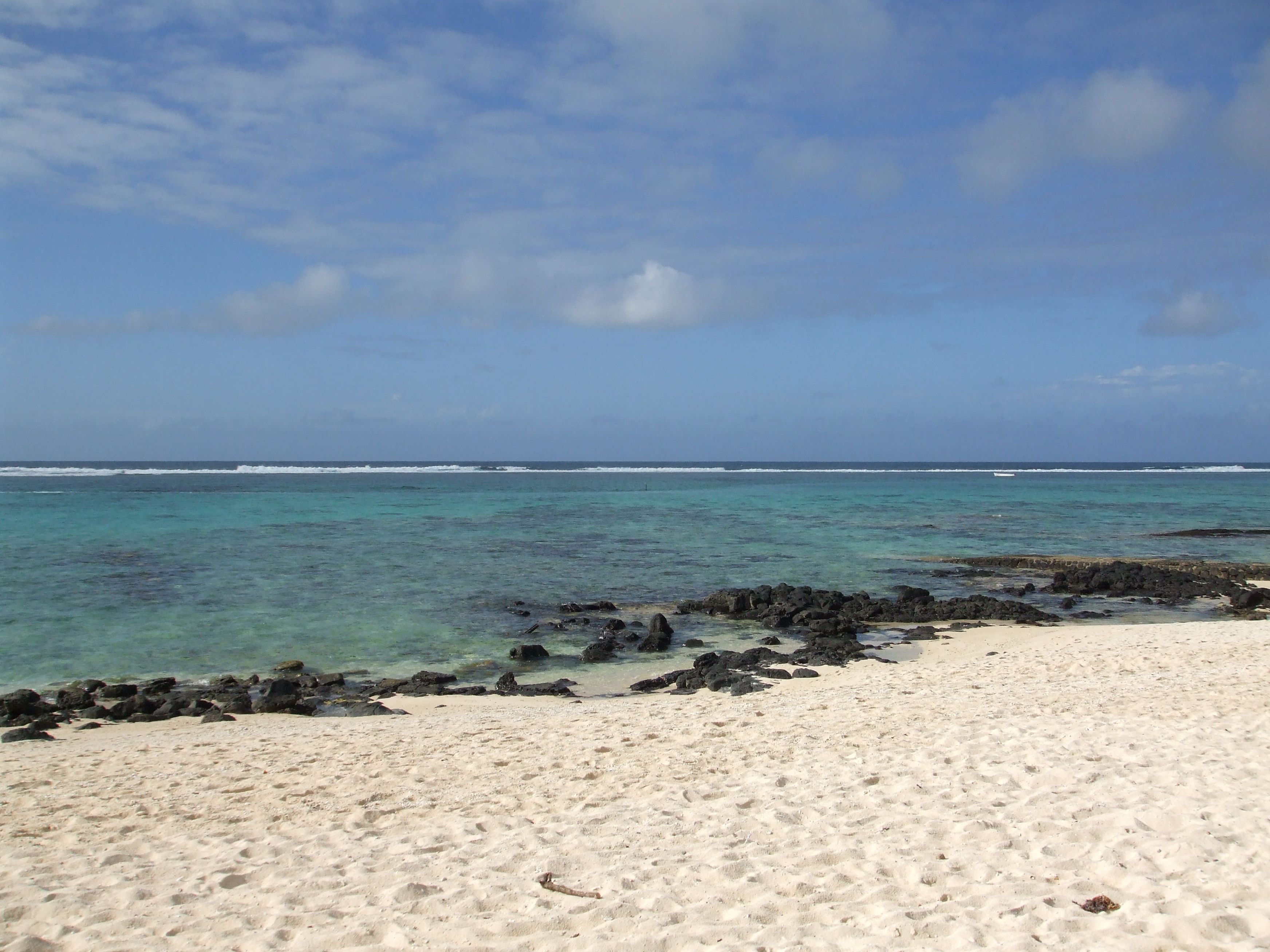beachlife.jpg