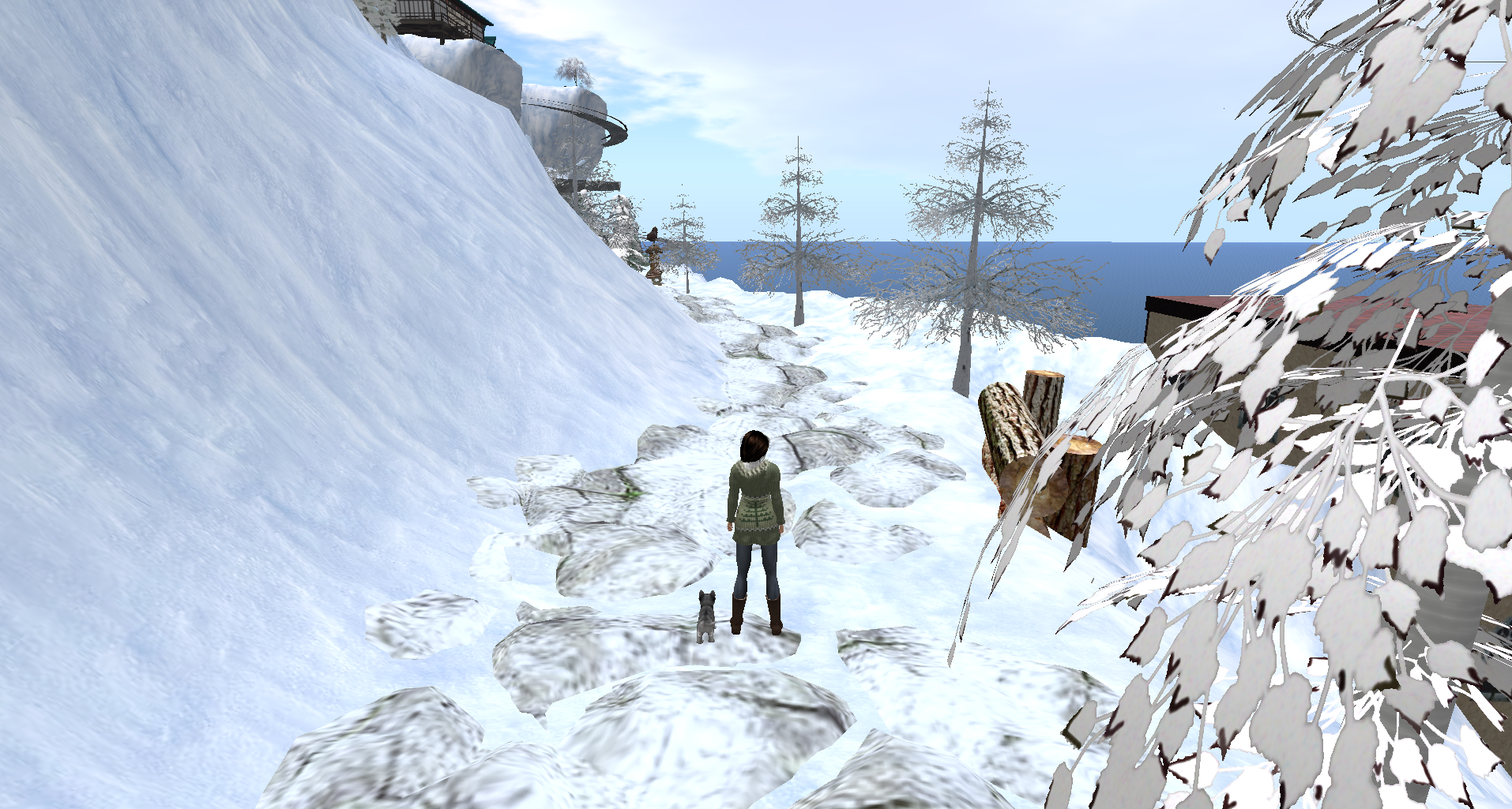 Snapshot_019.png