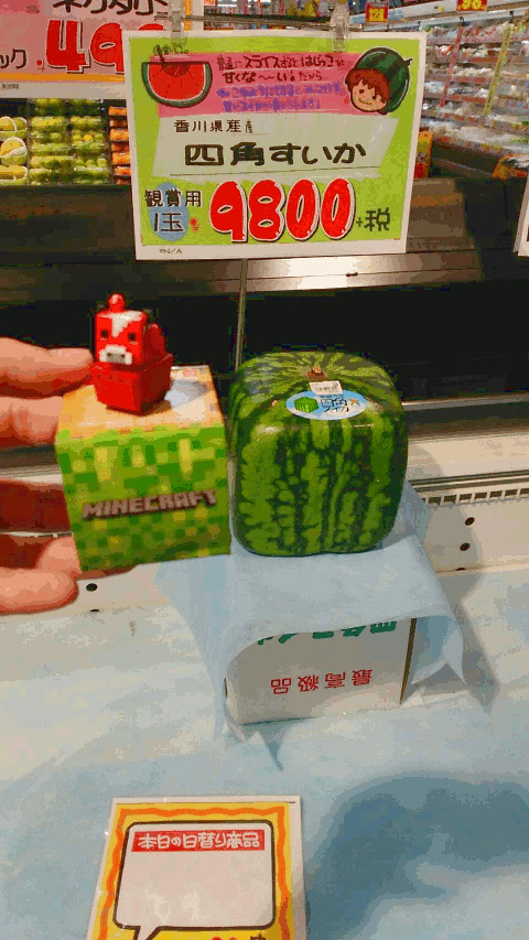 Watermelon Block And Mooshroom ムーシュルームとスイカを見つけた Minecraft Eng Jpn Steemkr