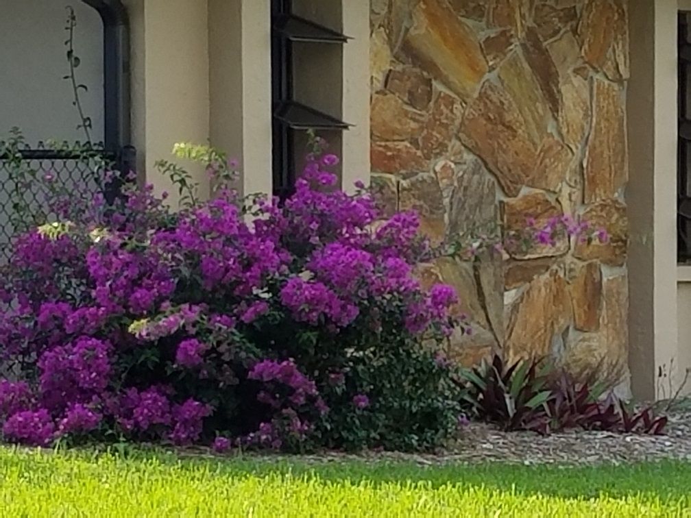 20171229_153700 (1).jpg