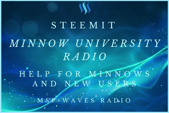 Minnow University (18).jpg