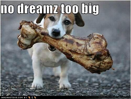 funny-dog-pictures-there-are-no-dreams-too-big-for-dog1.jpg