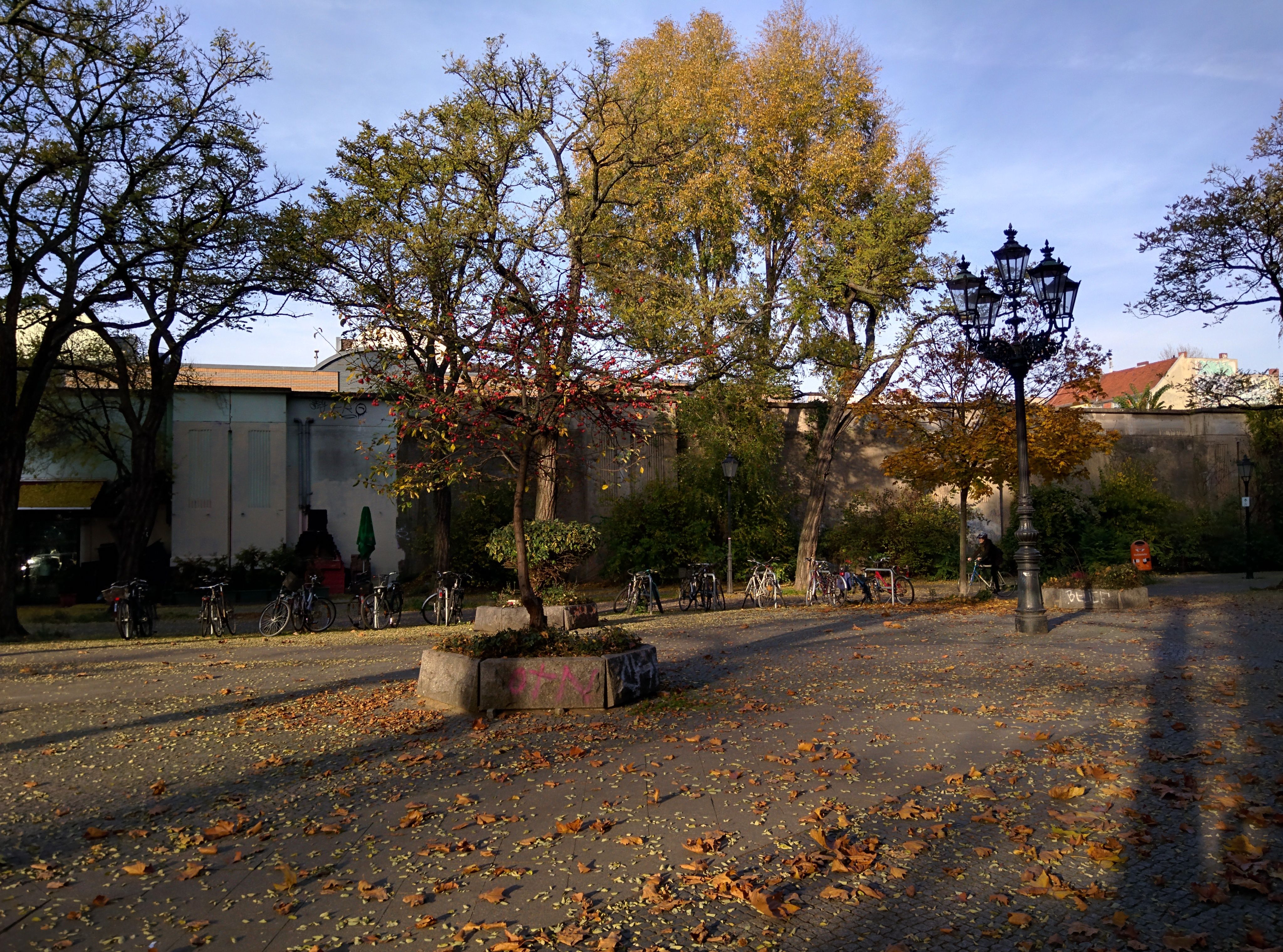 IMG_20151101_145303.jpg