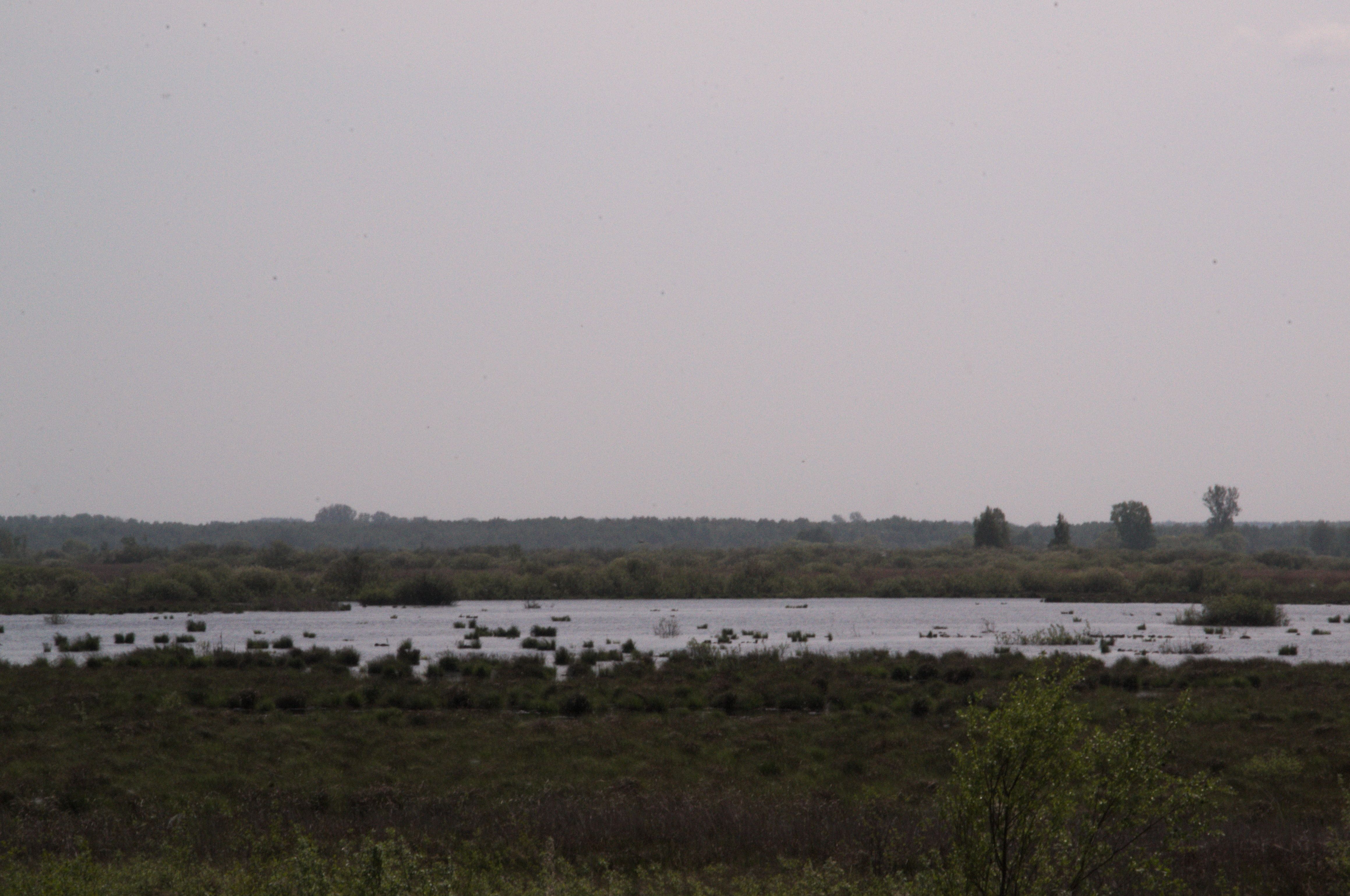 DSC_0310.jpg