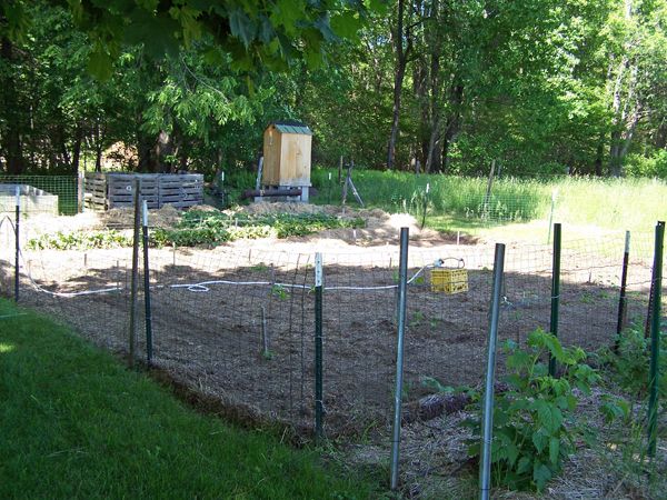 Small garden - all planted2 crop June 2014.jpg