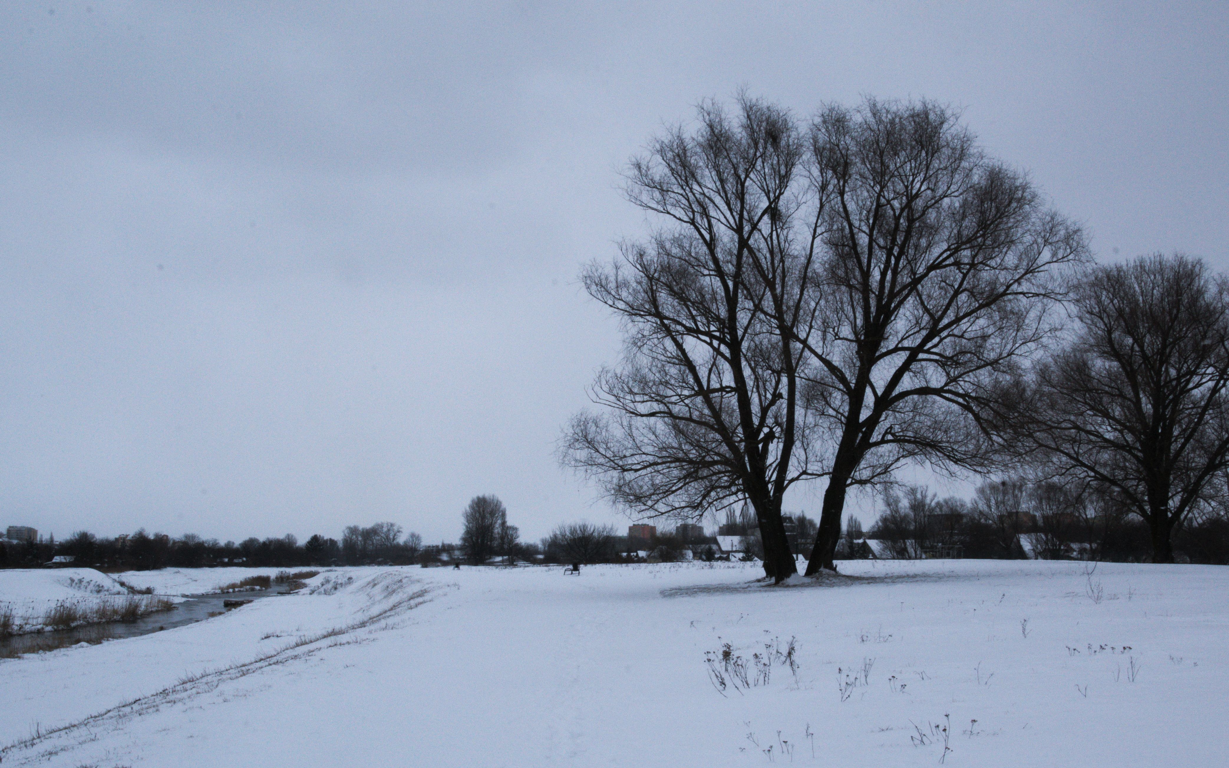 DSC_0492.NEF.jpg