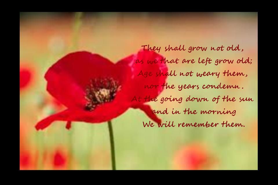 We-Will-Remember-Them-On-Remembrance-Day.jpg