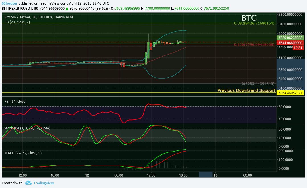 BTC Dont Blame The Whales - Its Your Shorts.jpg