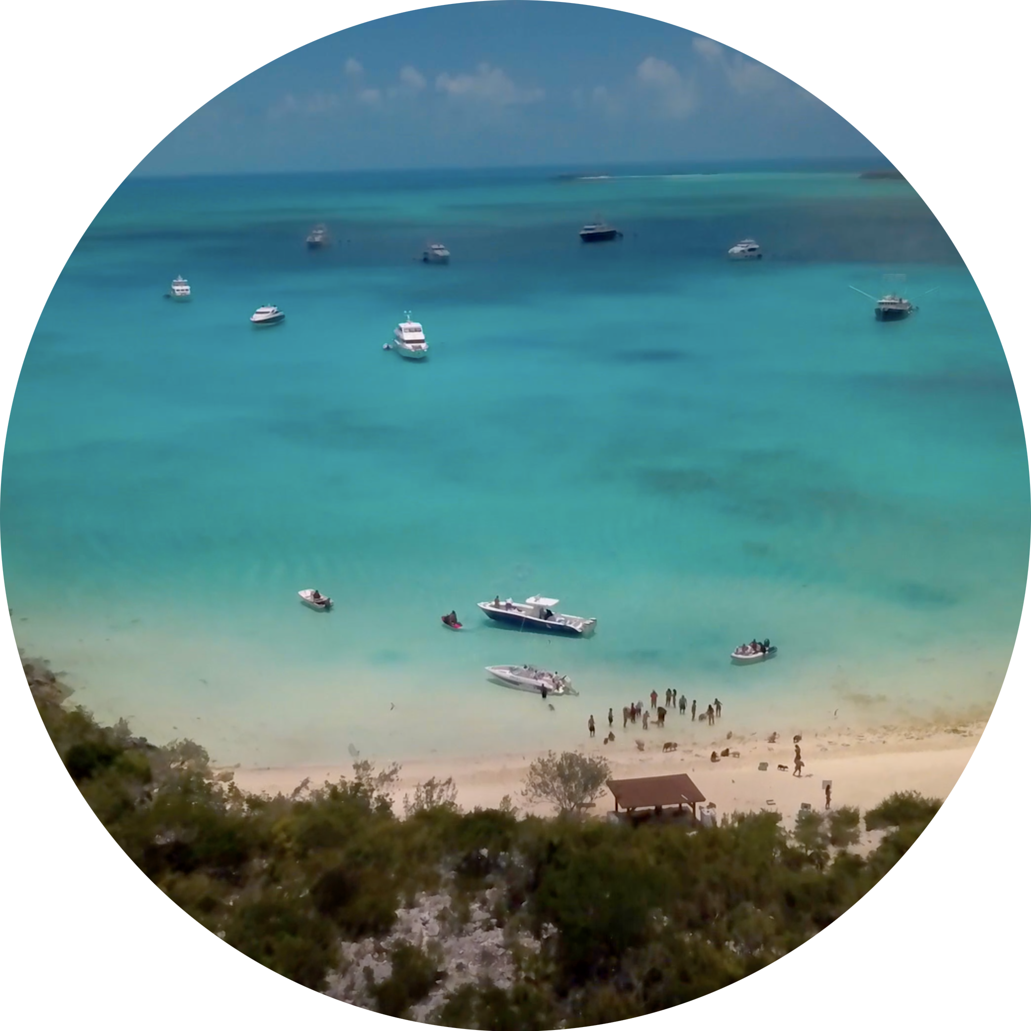 Steemit profile picture for @bahamas