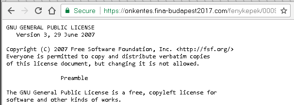 fina-exploit.gif