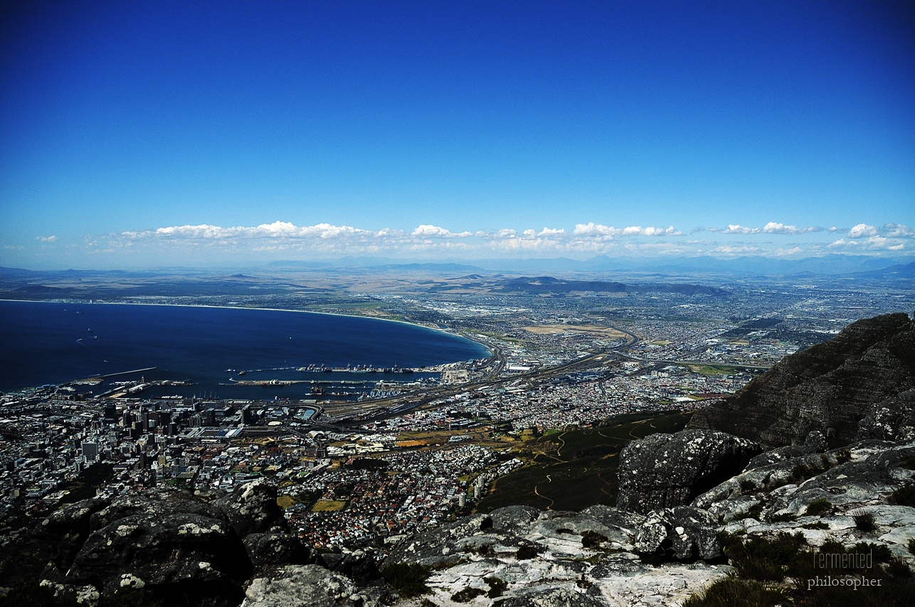_DSC0800.JPG