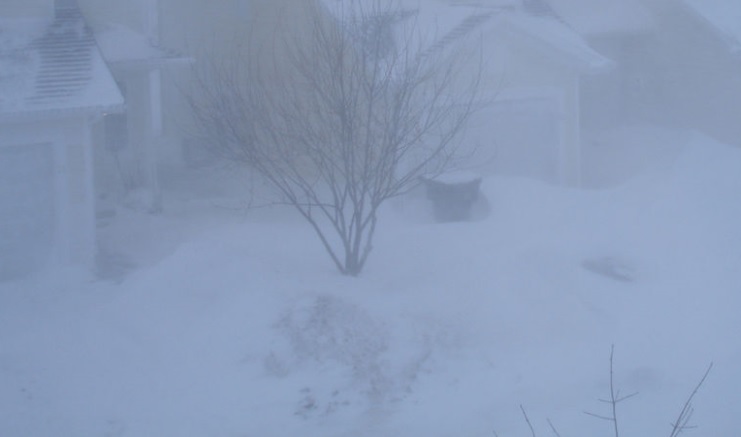 blizzard03.jpg