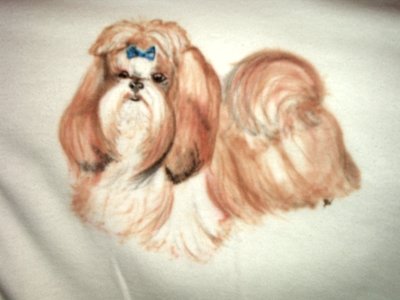 ShihTzu1.jpg