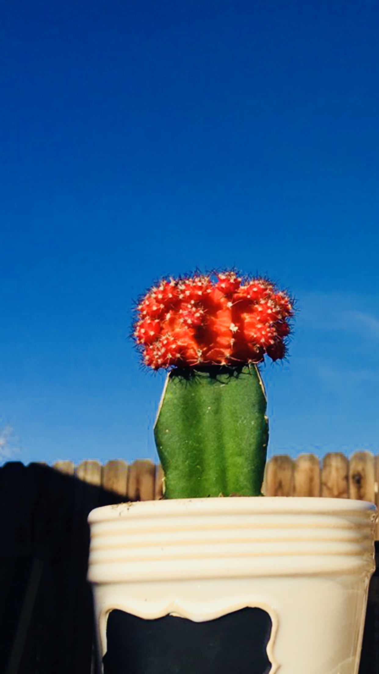 8150D31E-D3D0-4ED9-81D0-2669319B2238.jpeg