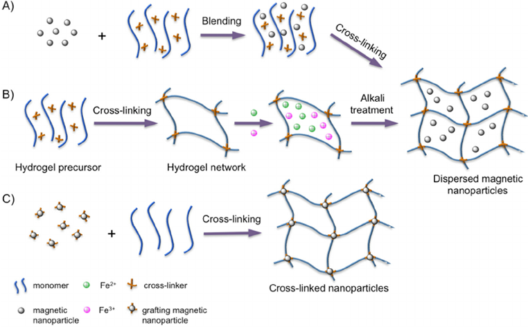 Figure-2-Main-preparation-methods-of-magnetic-hydrogels-A-The-blending-method-the.png