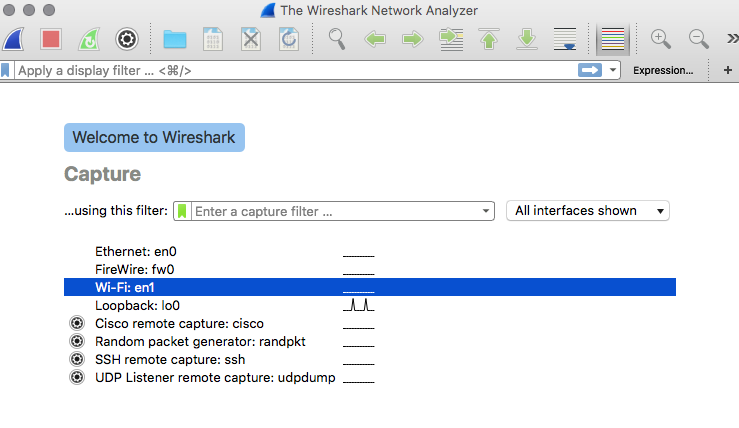 wireshark open screen.png