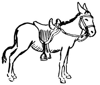 story of The Salt Merchant and His Donkey — Steemit