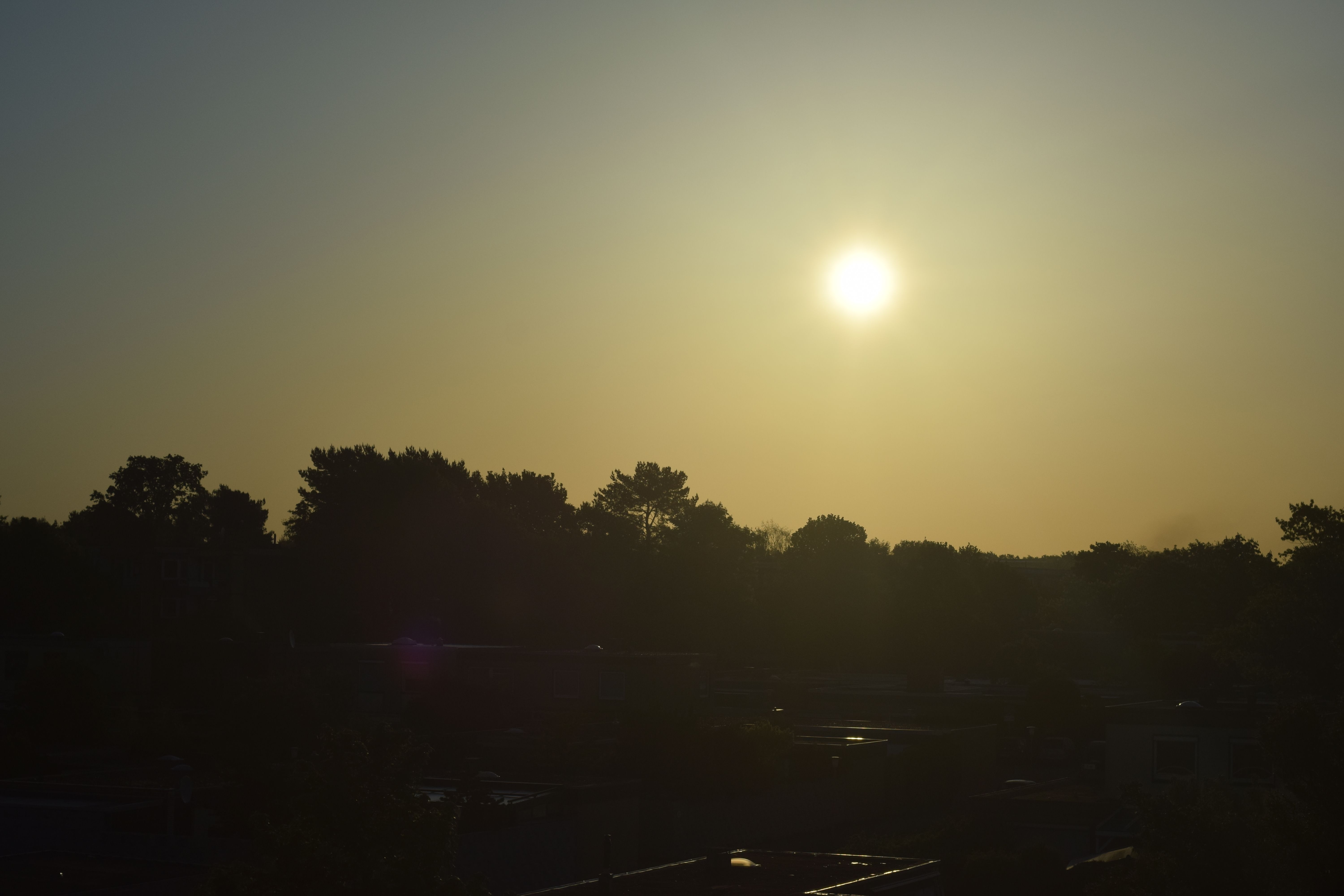 DSC_0015.JPG