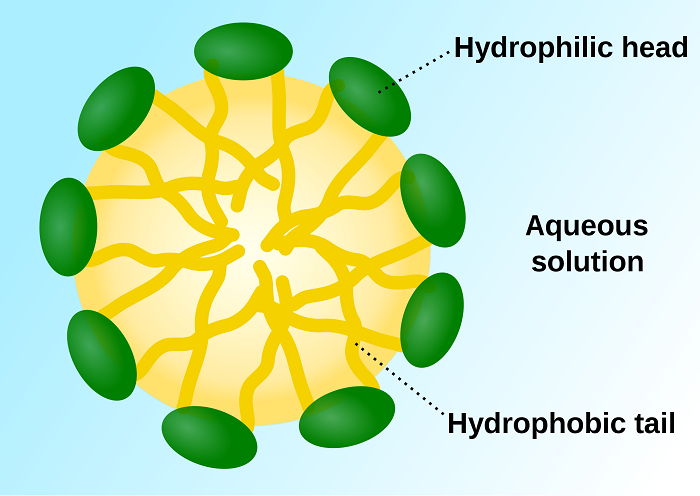 2000px-Micelle_scheme-en.svg.png