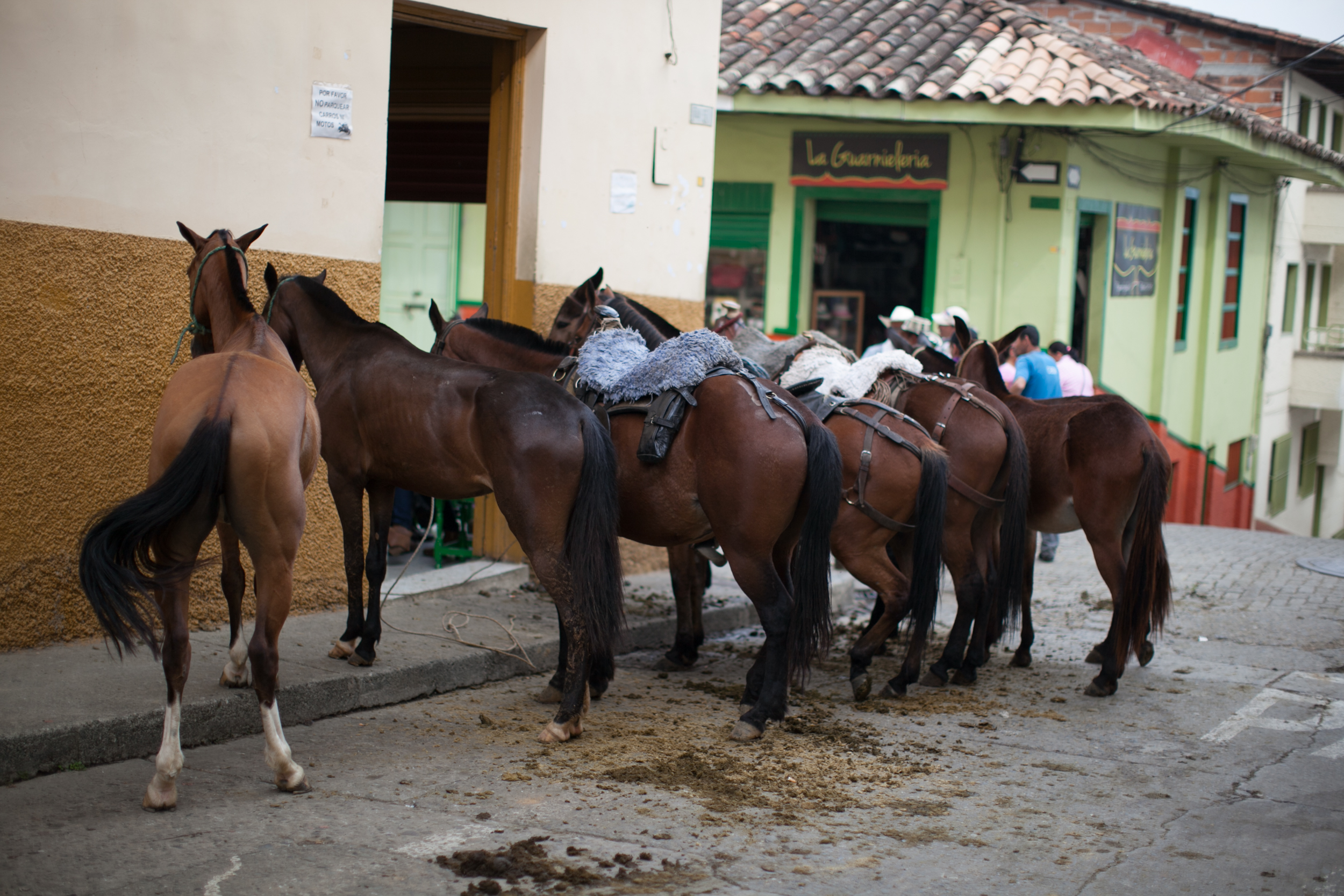 jerico-colombia_25731409835_o.jpg