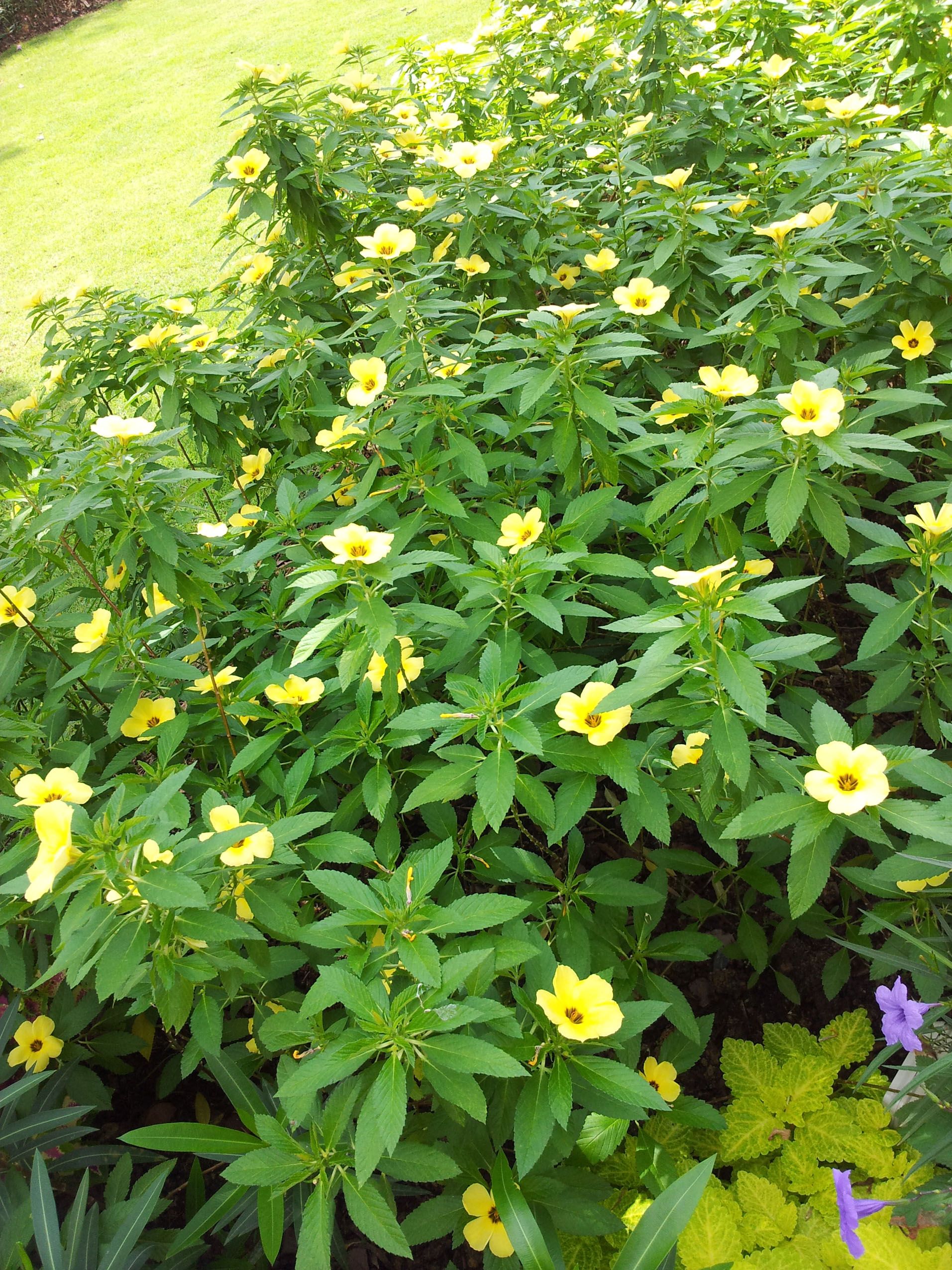 20150809_112230.jpg