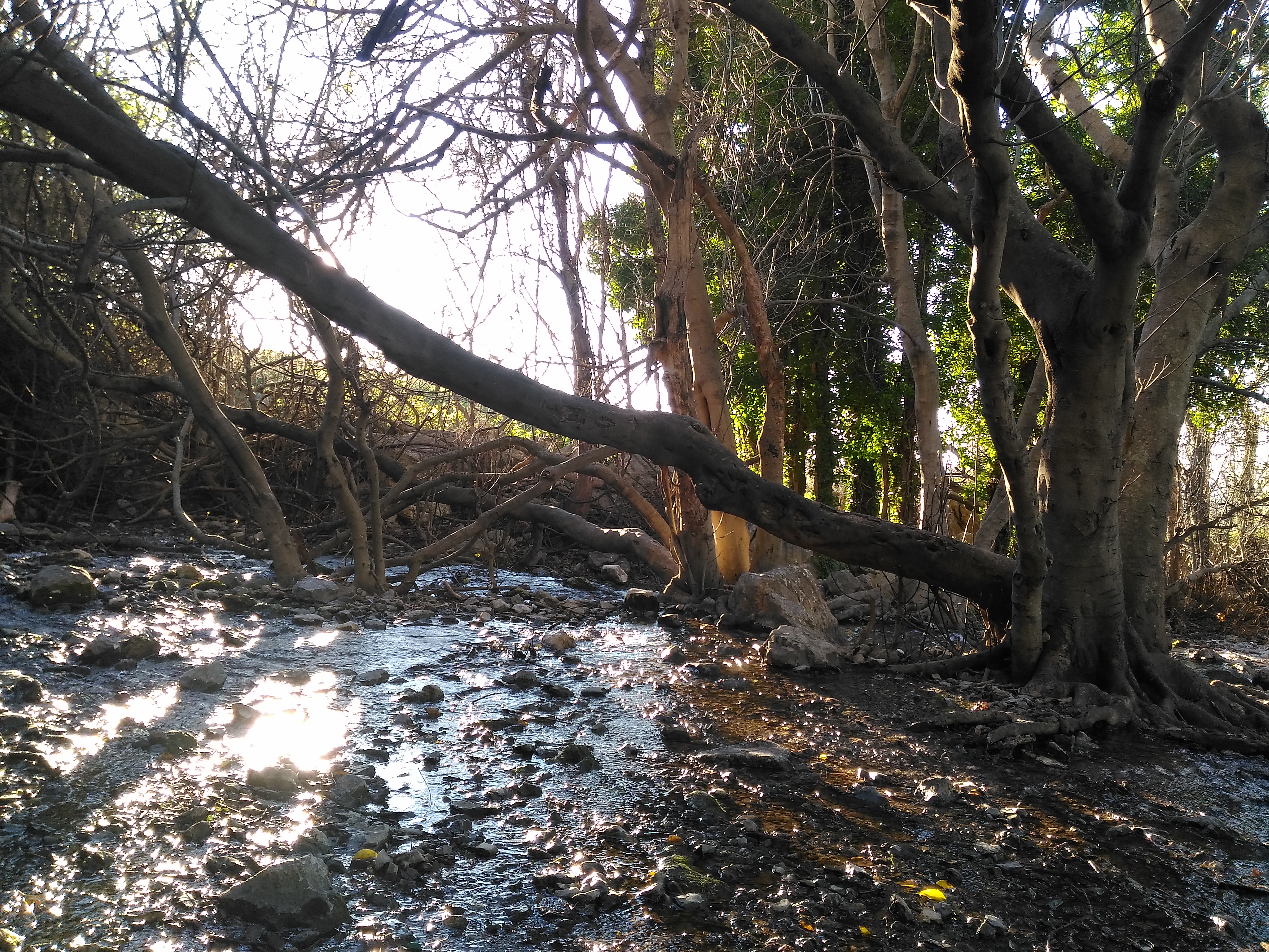 P_20160301_181814_SRES.jpg