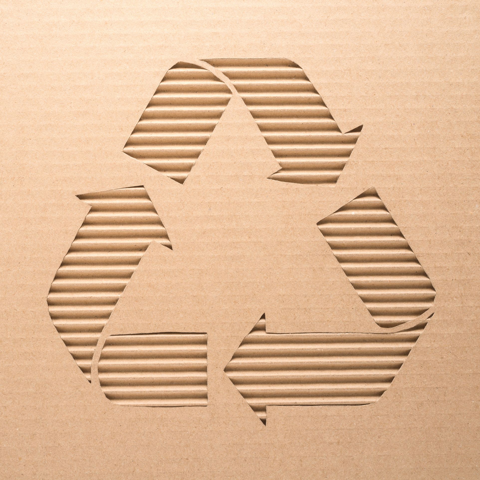 recycle sign.jpg