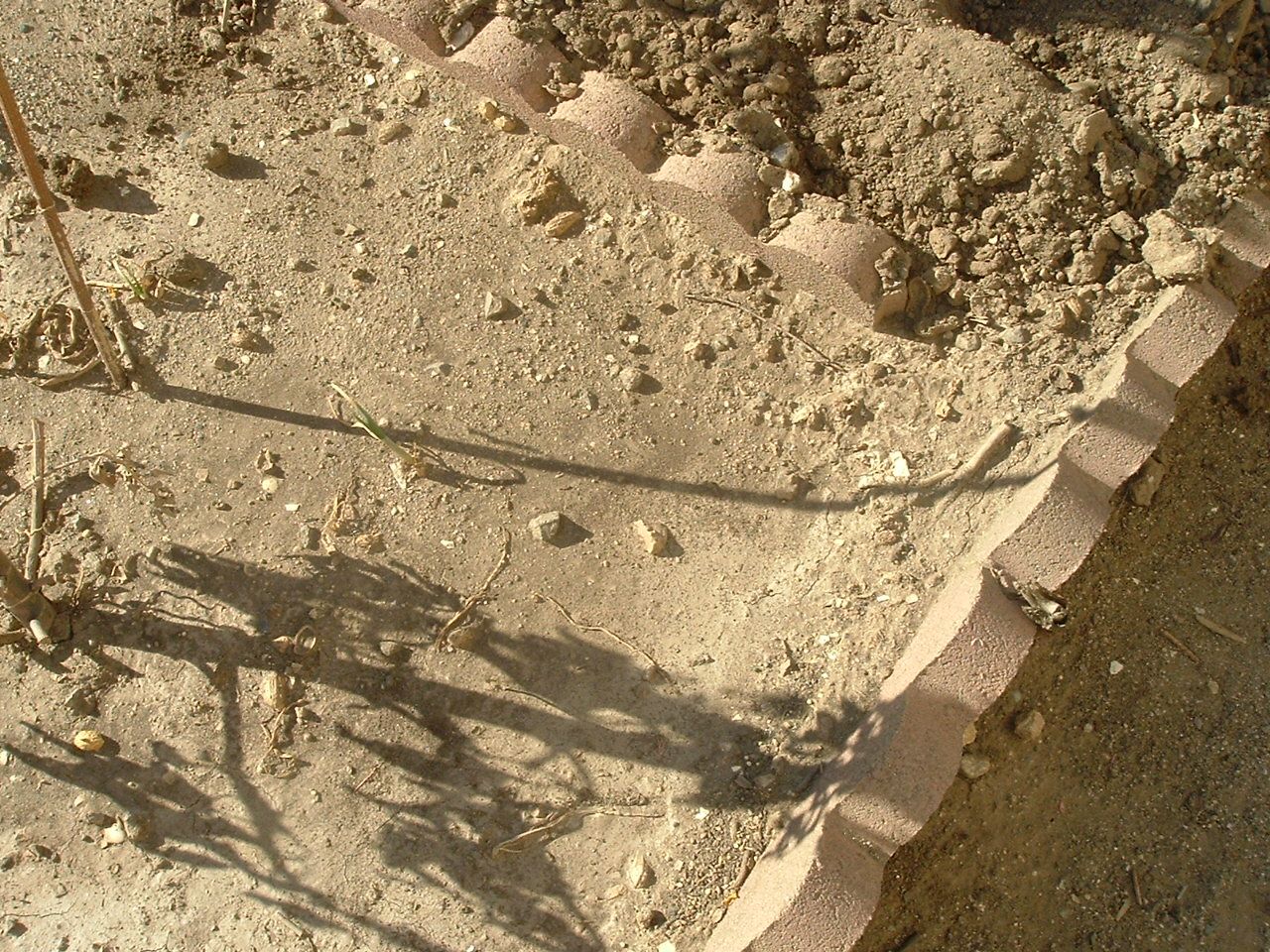 DSCF0122.JPG