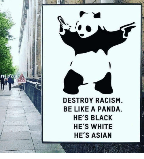 destroy-racism-be-like-a-panda-hes-black-hes-white-6762188.png