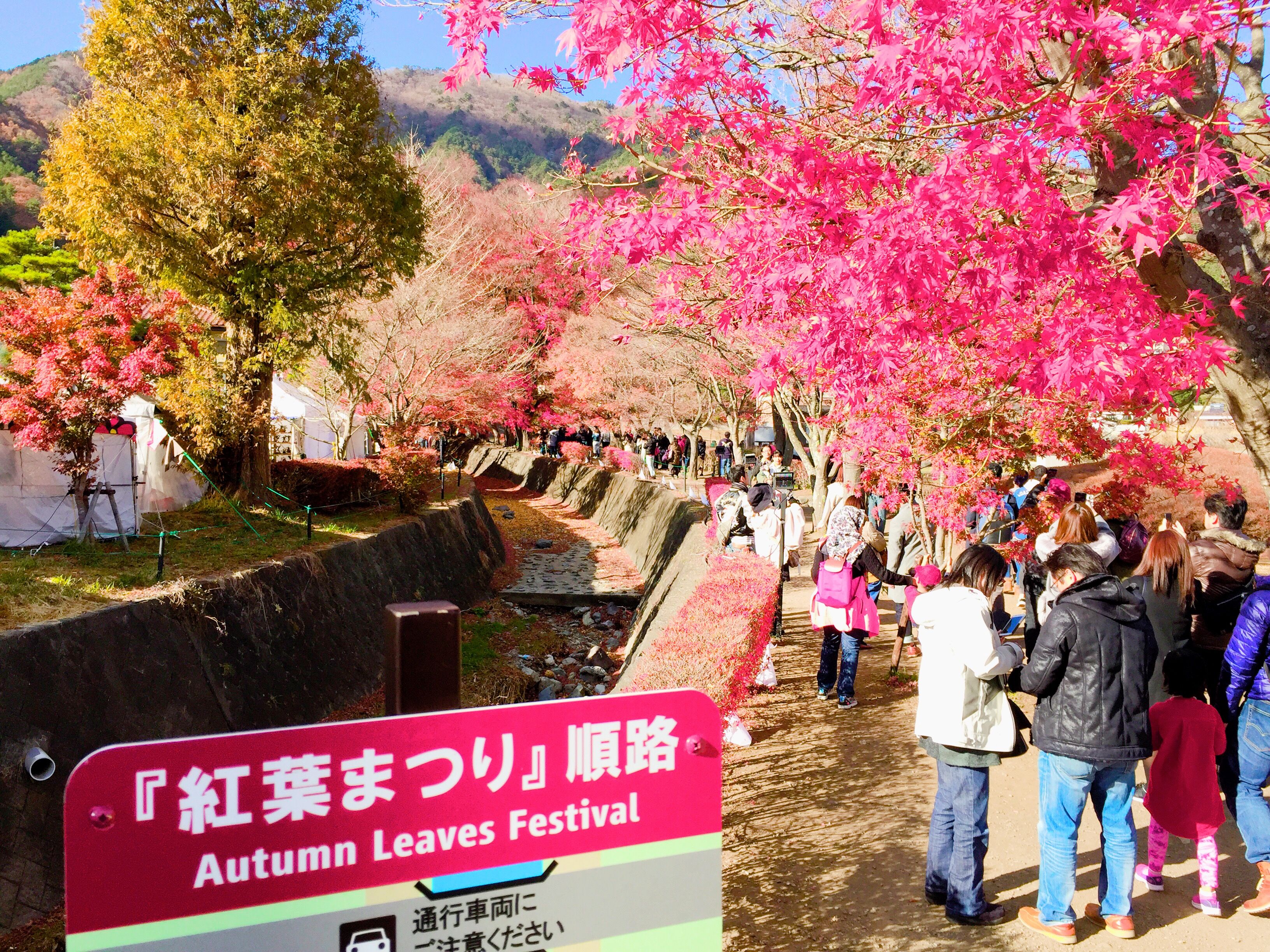 2017-11-19 13.40.53.jpg