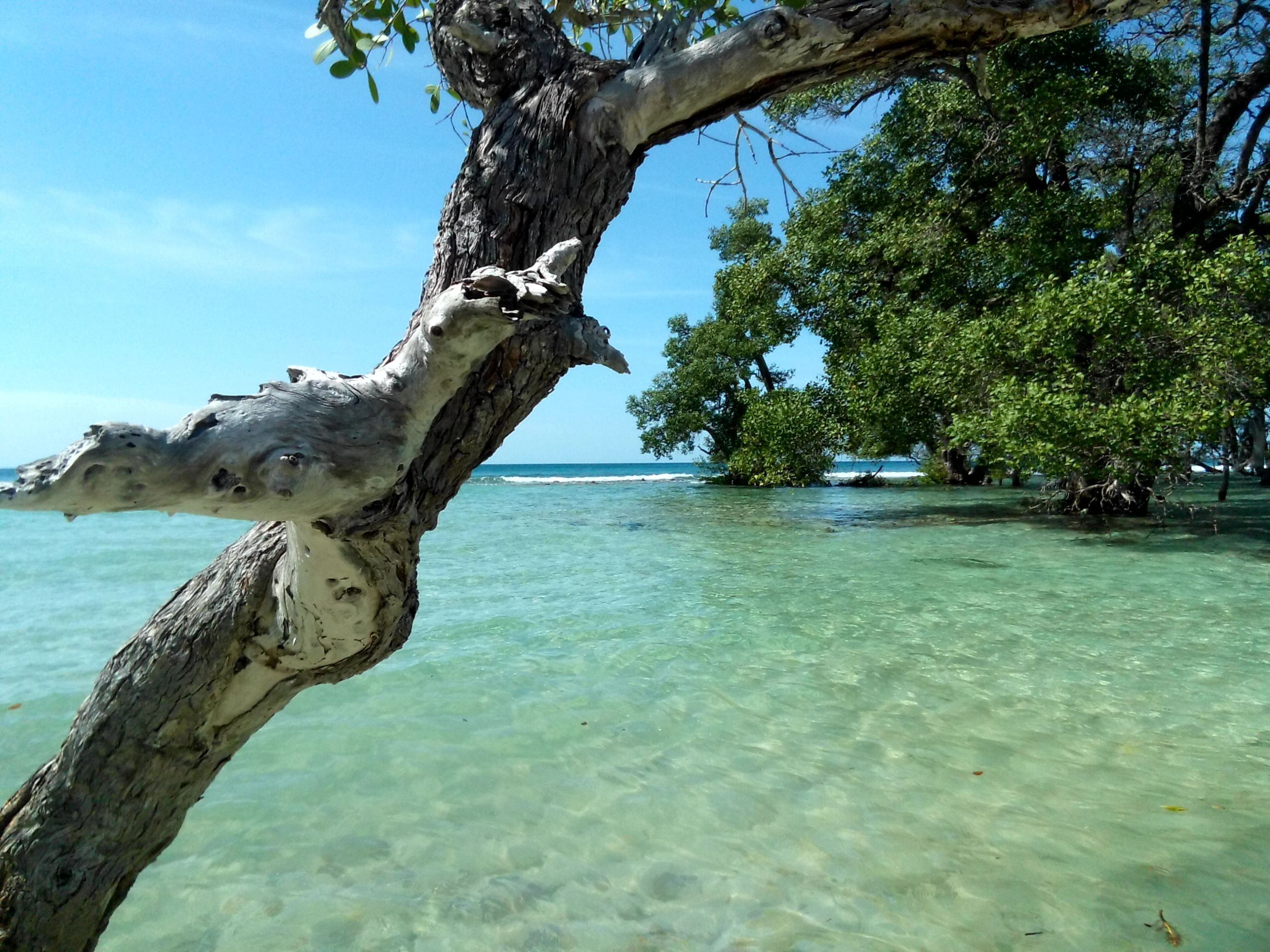 Pantai Lhok Mee Menatap Fasilitas Alam Dari Sudut Pandang